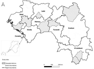 Factors affecting treatment delays among malaria patients presenting at health facilities in Guinea, 2022–2023